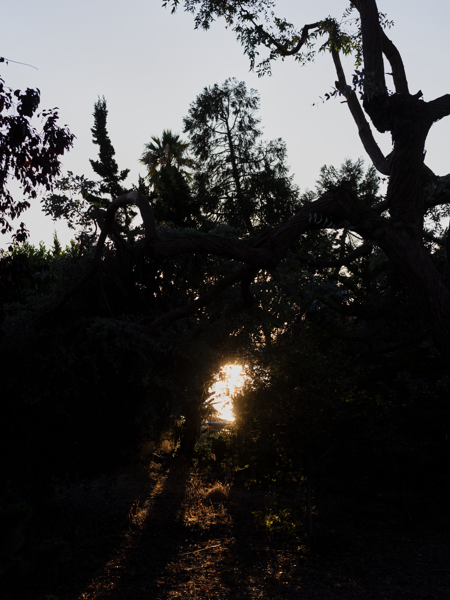 Benicia_Web6